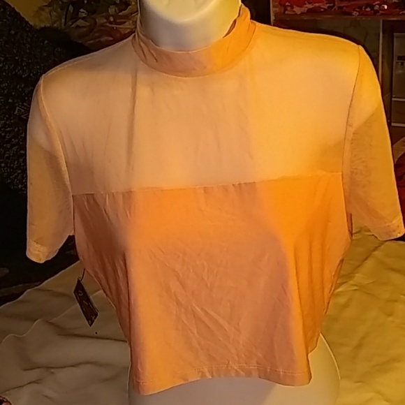 Nasty Gal Tops - Nasty gal crop top Nasty Gal Tops - Nasty gal crop top